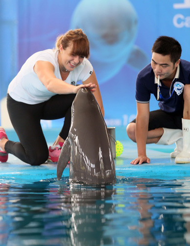 往需要长期 往需要长期