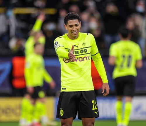 青年训练提 青年训练提