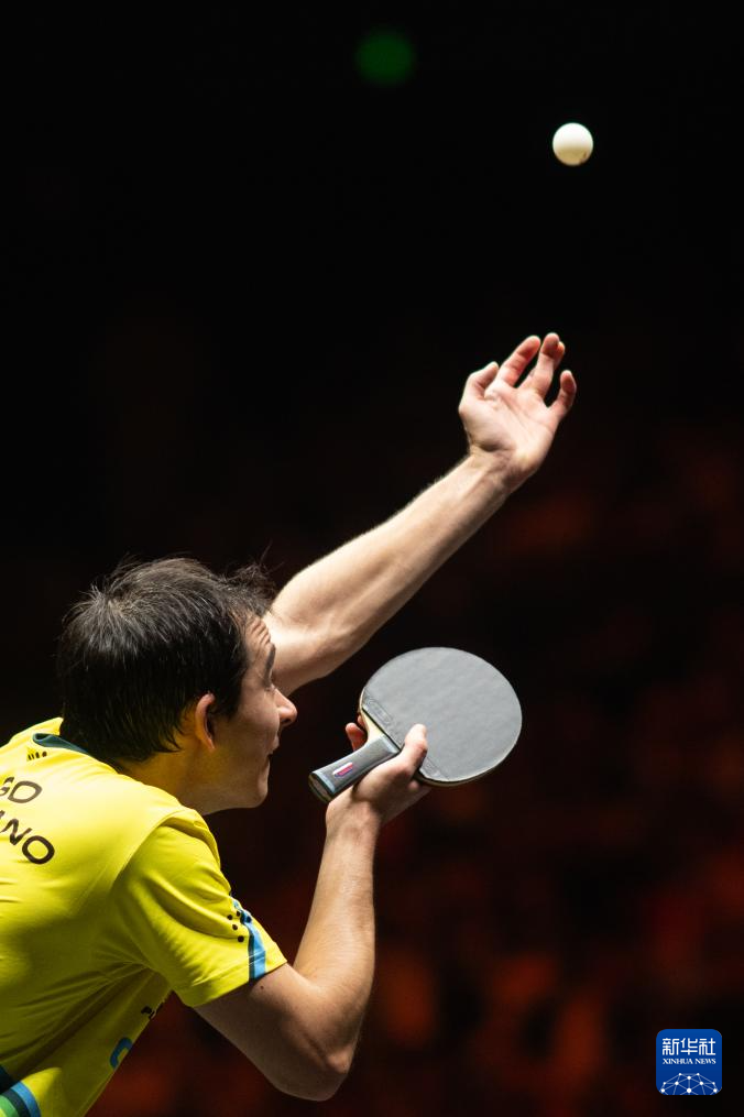 再次成为媒 再次成为媒